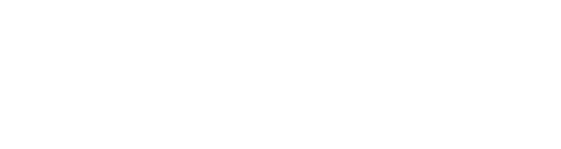 PZ TECHNOLOGY PRIVATE LIMITED  